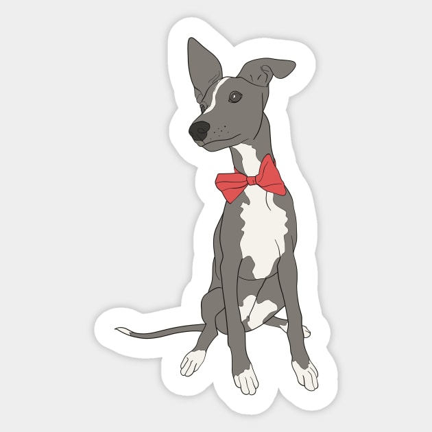 Cute Grey Italian Greyhound with bright pink bow Sticker by This Iggy Life